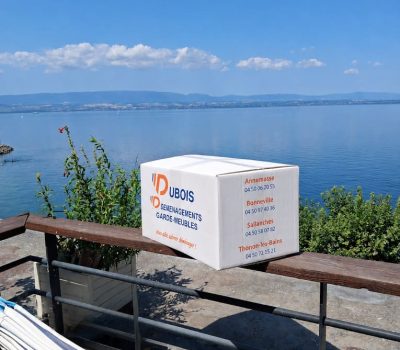 Dubois 9 Carton de déménagement marqué "Dubois Déménagement" sur une rambarde bois et métal en bord de lac